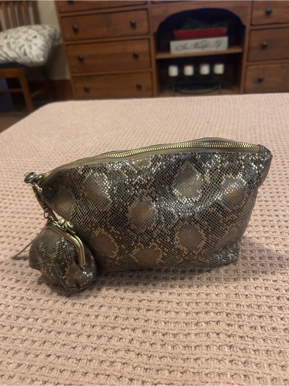 HOBO Metallic Snake-Print Cosmetic Pouch in Bronze and Black